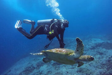 Learn Scuba Diving in Bali