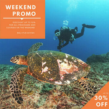 Bali Diving: Bali Fun Diving Weekend Promo