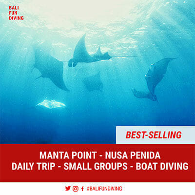Best Selling Promo