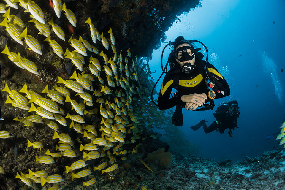 Bali Diving Prices and Packages, Pricelist Scuba Diving in Bali