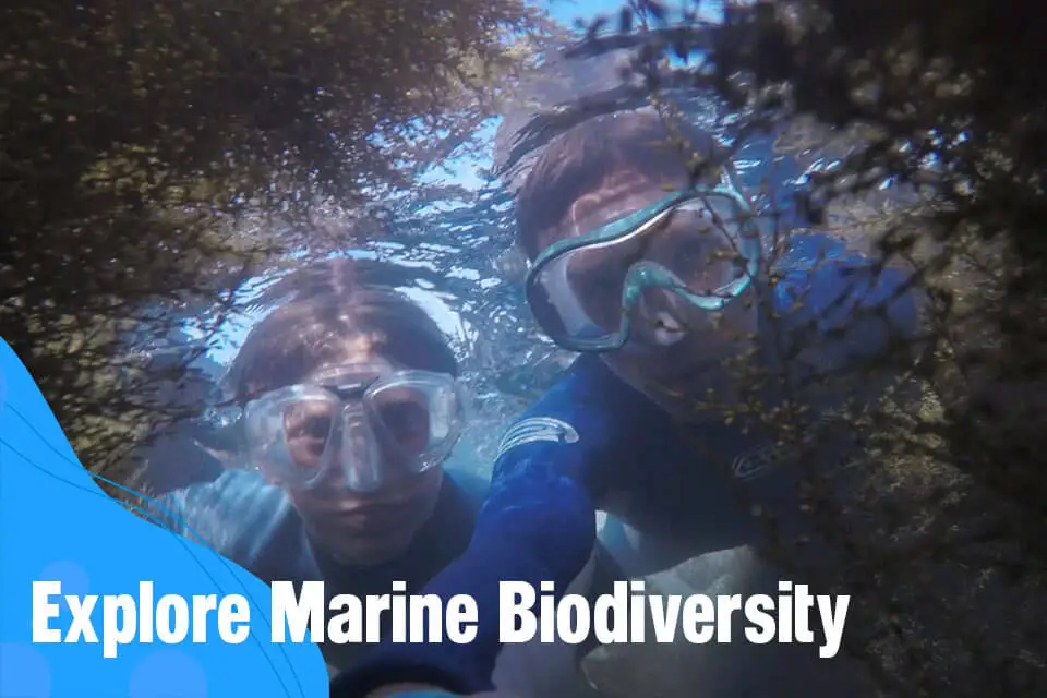 Explore Marine Biodiversity