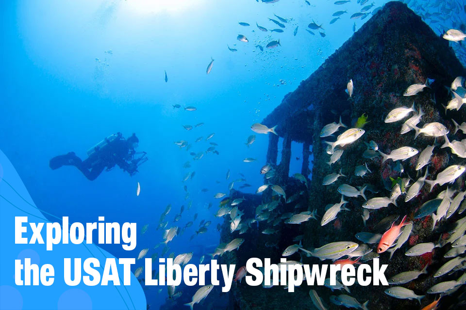 Exploring the USAT Liberty Shipwreck