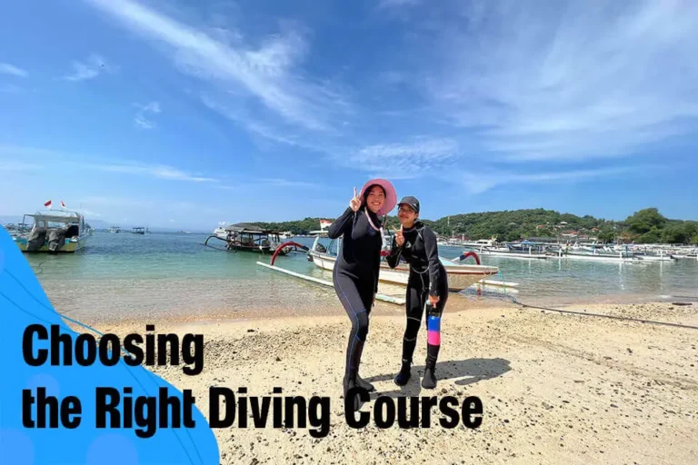 Choosing the Right Diving Course