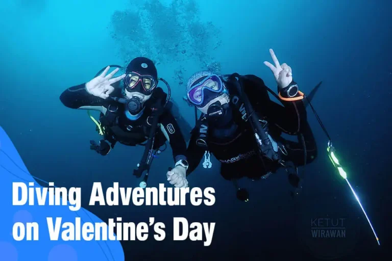Diving Adventures in Indonesia on Valentine's Day