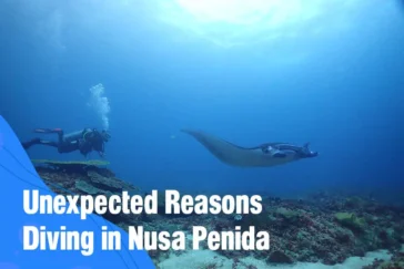Unexpected Reasons Diving in Nusa Penida