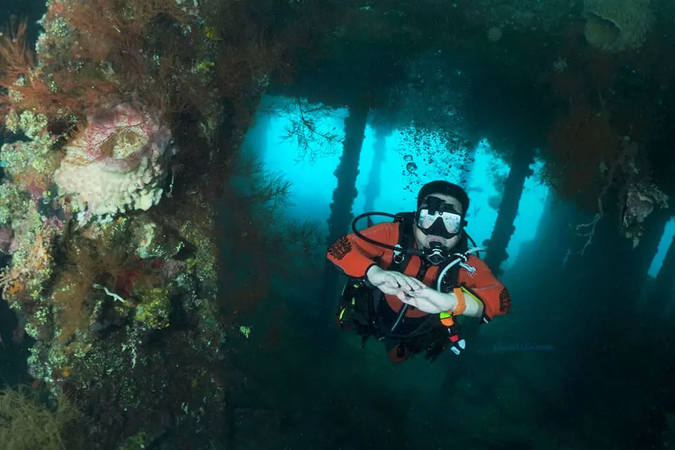 Diving with Balifundiving