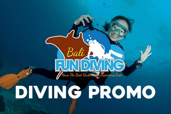 Scuba Diving Promo