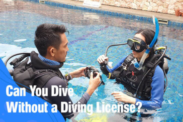 Can You Dive Without a Diving License in Bali?