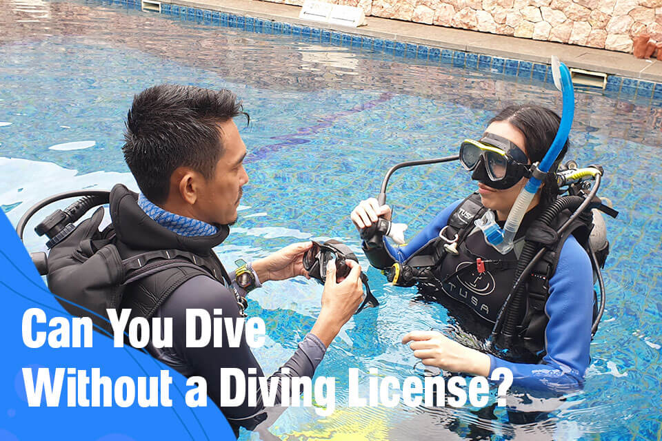 Can You Dive Without a Diving License in Bali? Bali FUN Diving