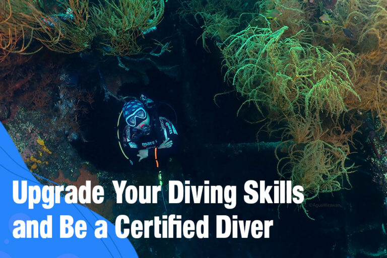 Upgrade Your Diving Skills and Be a Certified Diver