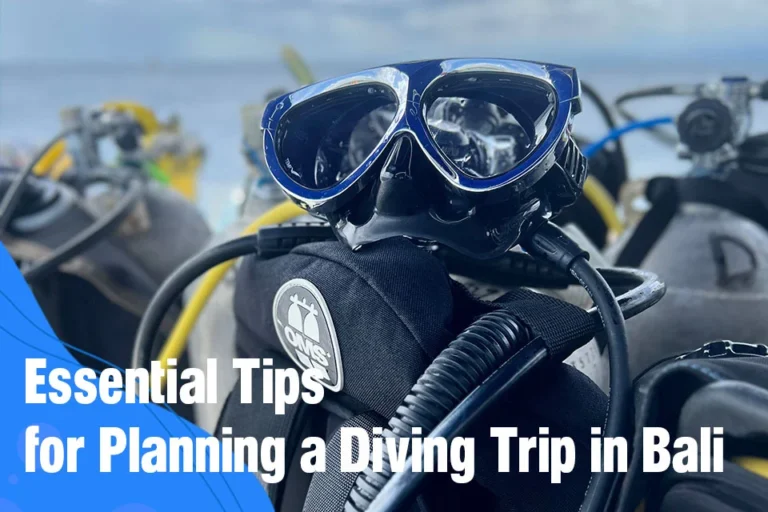 Essential Tips for Planning a Diving Trip in Bali