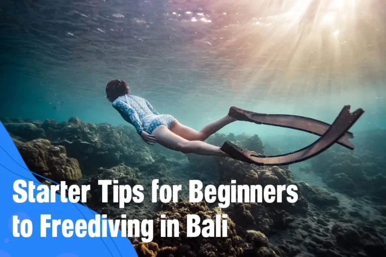 Starter Tips for Beginners to Freediving in Bali