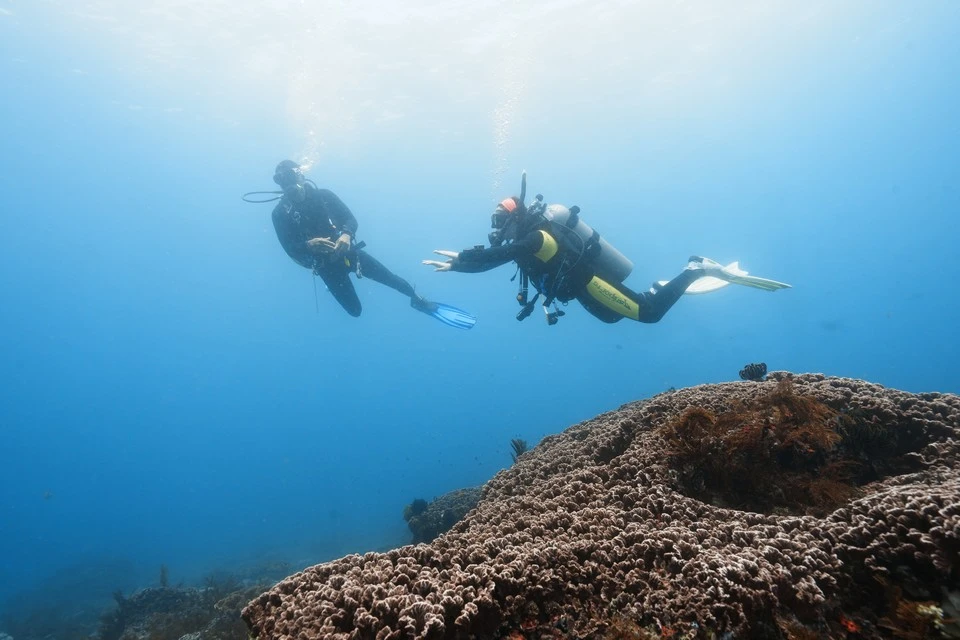 Non-Certified Diver Experience Program