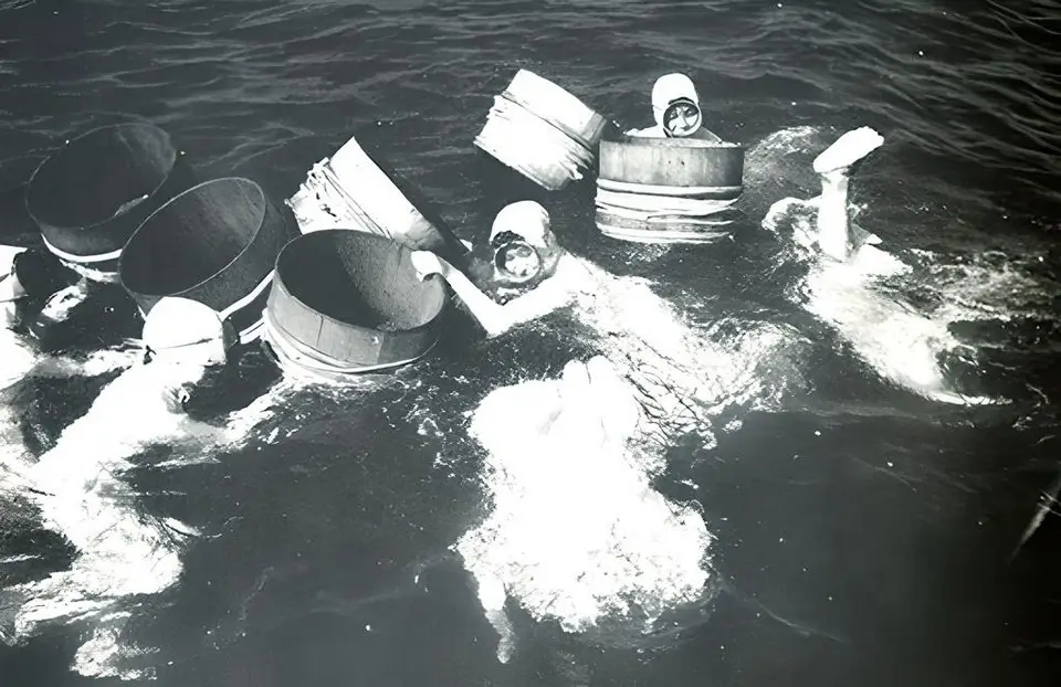 Ama Divers