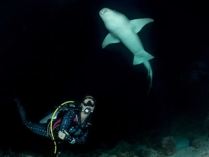 Night Diving Maldives