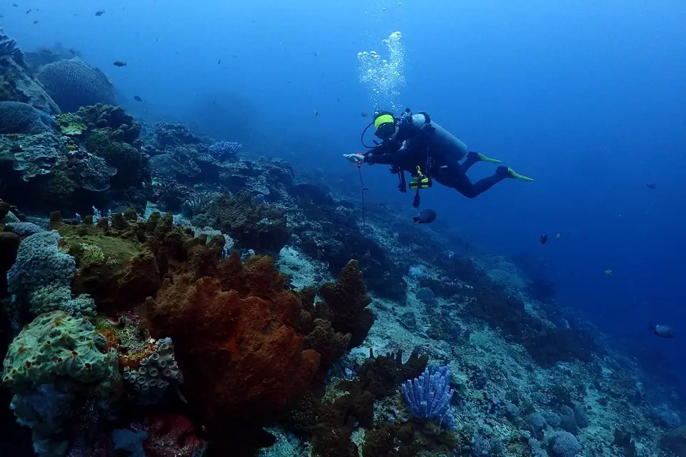 Scuba Diving