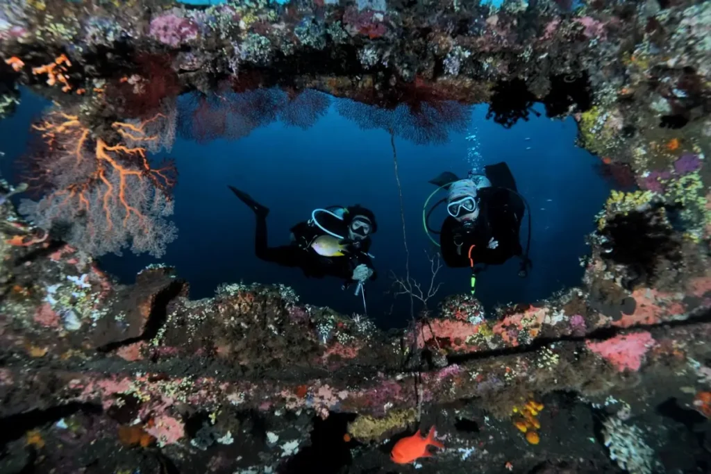 Dive Buddy