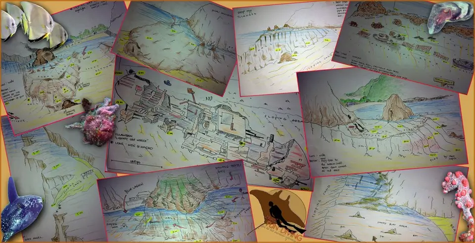 Dive Journey