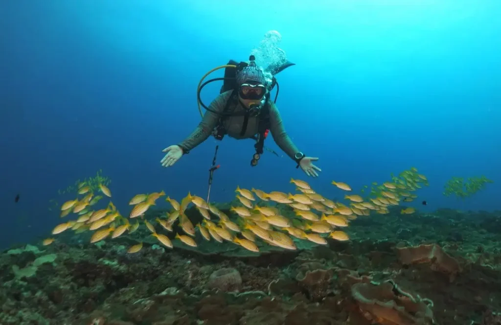 Discovering the Sea’s Lessons 