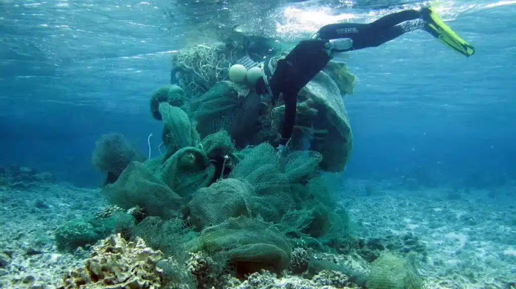 NOAA Teams Collect Marine Debris