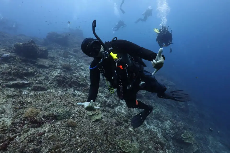 Enjoy Diving